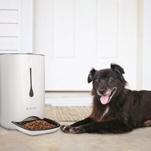 Distributeur Automatique de Croquettes – 6L